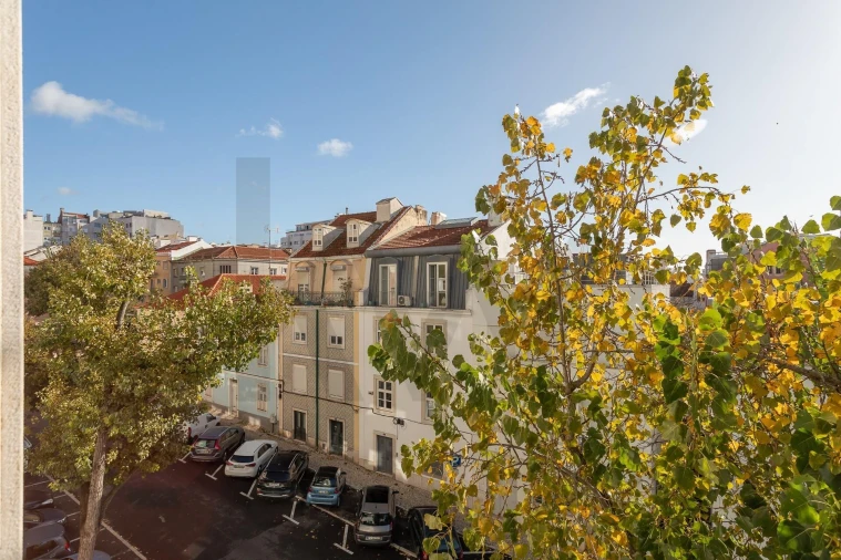 Apartamento T5 para Arrendamento em Santo António Foto 13