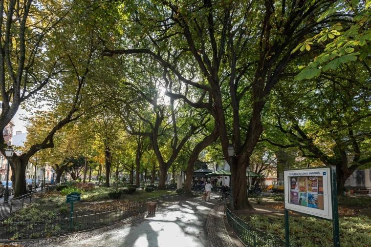 Apartamento T5 para Arrendamento em Santo António Foto 1