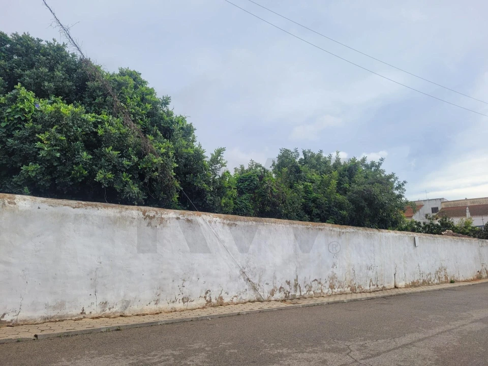 Terreno para Venda em Algoz e Tunes Foto 10