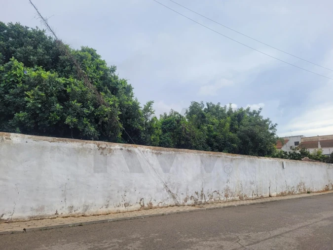 Terreno para Venda em Algoz e Tunes Foto 10