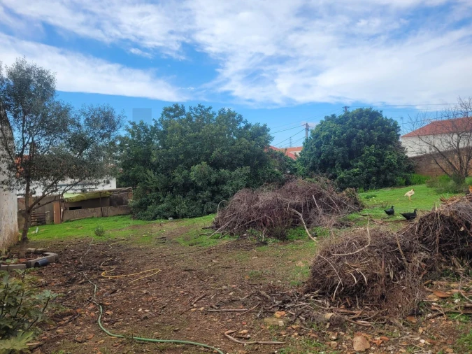 Terreno para Venda em Algoz e Tunes Foto 8