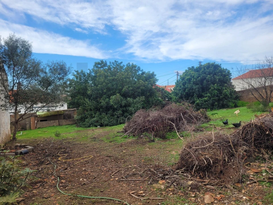 Terreno para Venda em Algoz e Tunes Foto 8