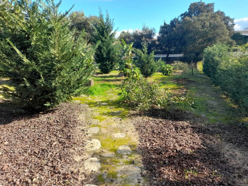 Moradia T3 para Venda em Poceirão e Marateca Foto 29