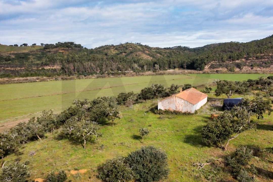 Terreno para Venda em São Salvador e Santa Maria Foto 6