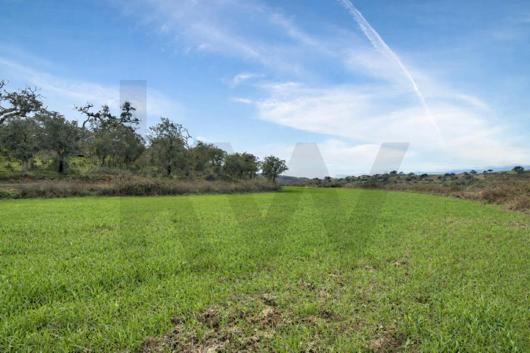 Terreno para Venda em São Salvador e Santa Maria Foto 10