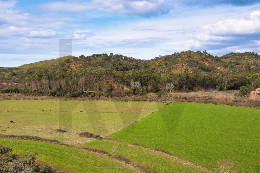 Terreno para Venda em São Salvador e Santa Maria Foto 12