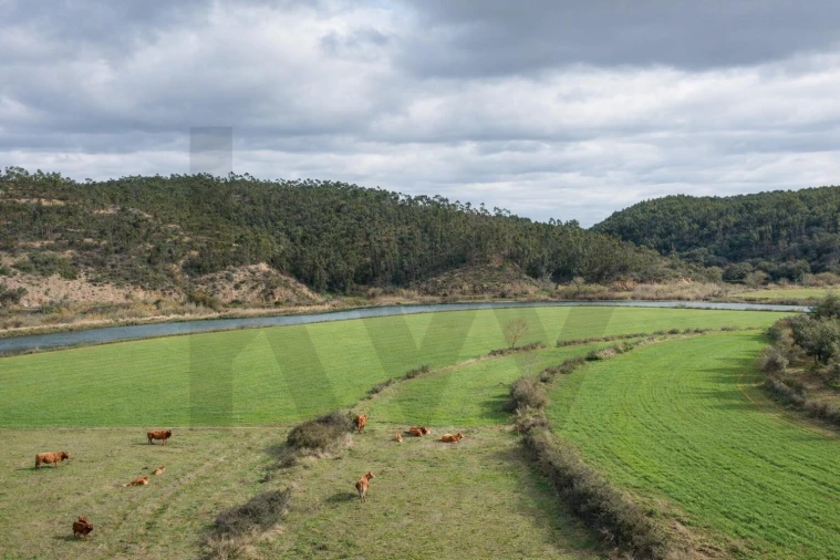 Terreno para Venda em São Salvador e Santa Maria Foto 11