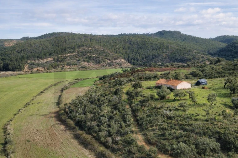 Terreno para Venda em São Salvador e Santa Maria Foto 5
