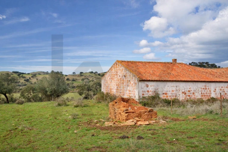 Terreno para Venda em São Salvador e Santa Maria Foto 7