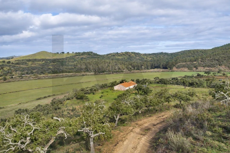 Terreno para Venda em São Salvador e Santa Maria Foto 4