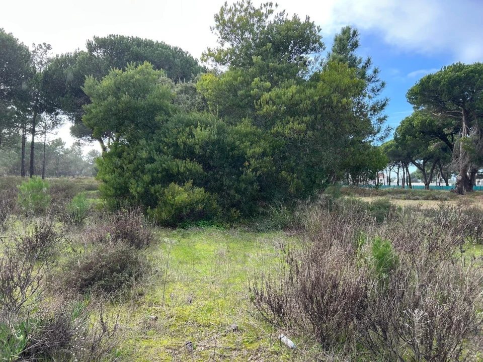 Terreno para Venda em Sesimbra (Castelo) Foto 7