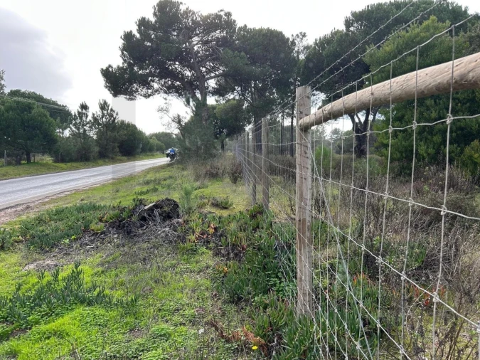 Terreno para Venda em Sesimbra (Castelo) Foto 6