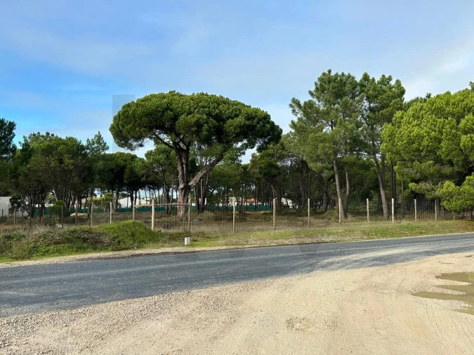 Terreno para Venda em Sesimbra (Castelo) Foto 8