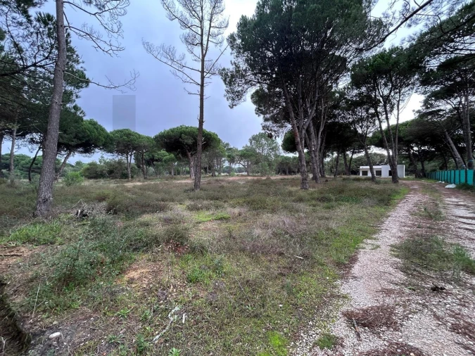 Terreno para Venda em Sesimbra (Castelo) Foto 5