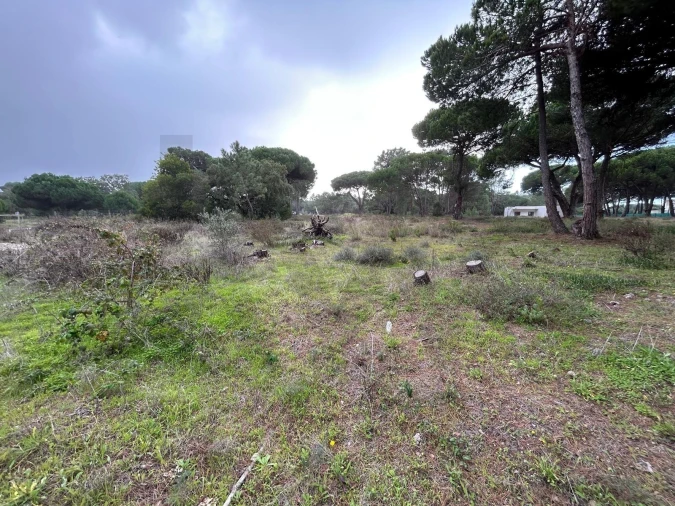 Terreno para Venda em Sesimbra (Castelo) Foto 4
