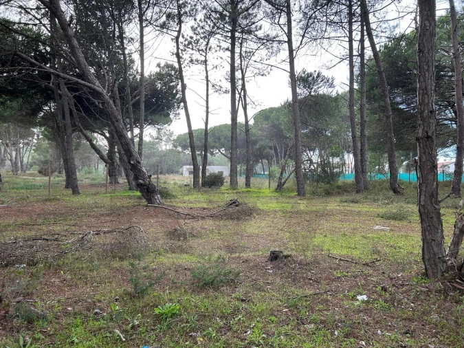 Terreno para Venda em Sesimbra (Castelo) Foto 3