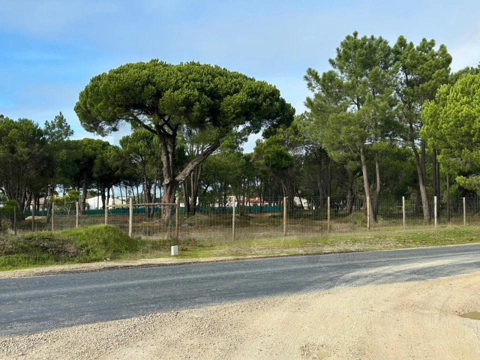 Terreno para Venda em Sesimbra (Castelo) Foto 1