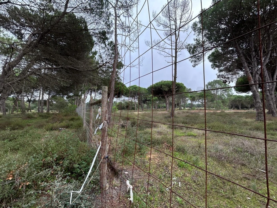 Terreno para Venda em Sesimbra (Castelo) Foto 2