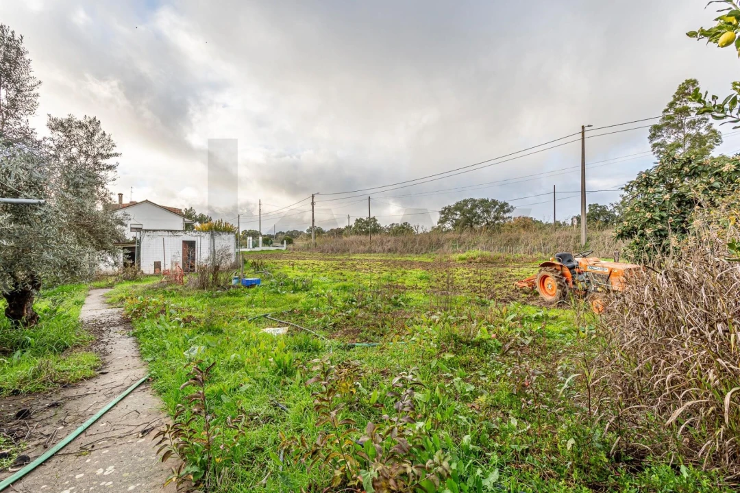 Moradia T3 para Venda em Cabrela Foto 8