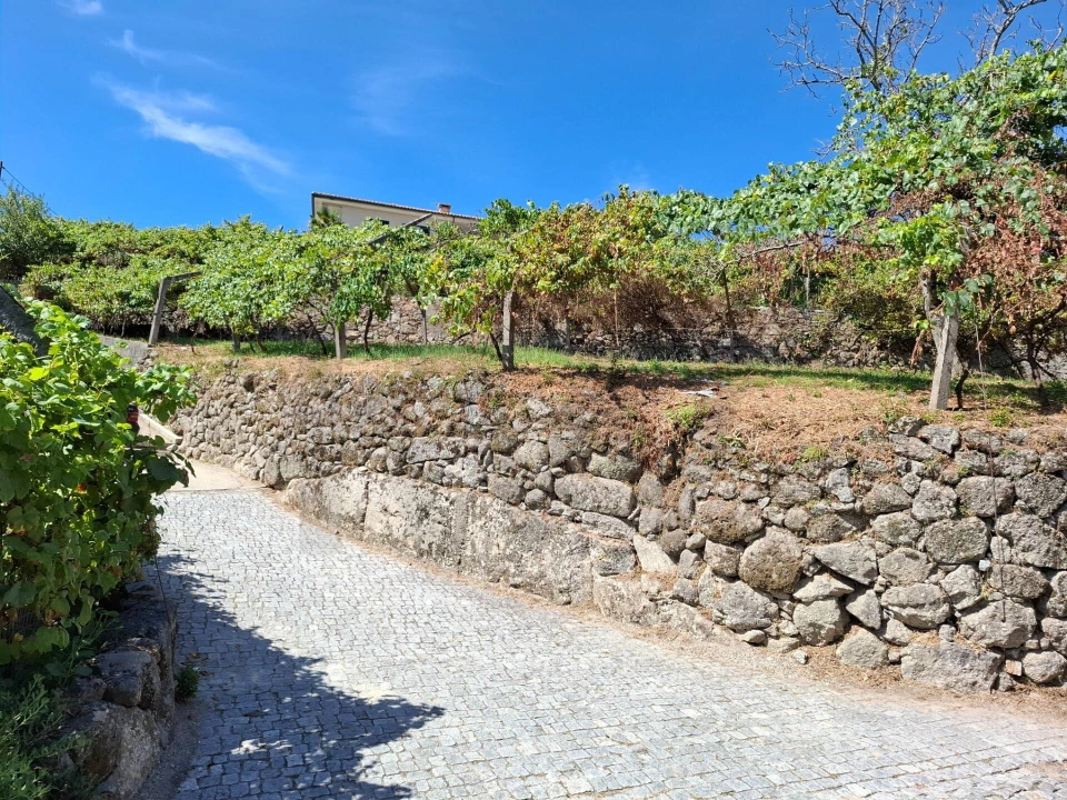 Terreno para Venda em Baião (Santa Leocádia) e Mesquinhata Foto 17