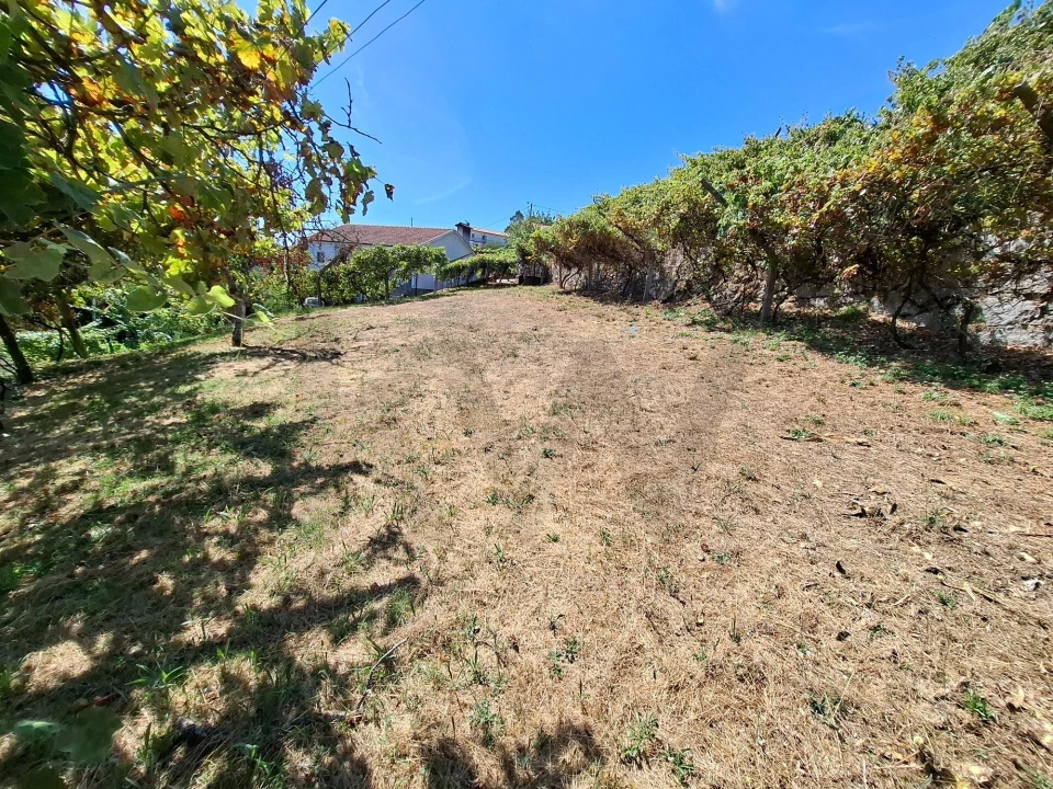 Terreno para Venda em Baião (Santa Leocádia) e Mesquinhata Foto 5
