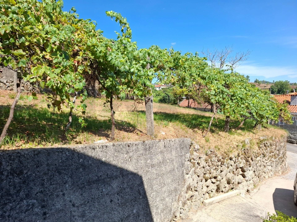Terreno para Venda em Baião (Santa Leocádia) e Mesquinhata Foto 12