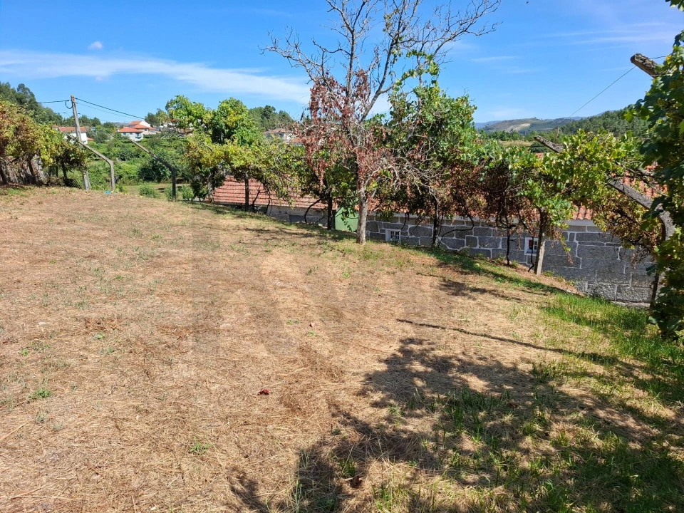 Terreno para Venda em Baião (Santa Leocádia) e Mesquinhata Foto 9