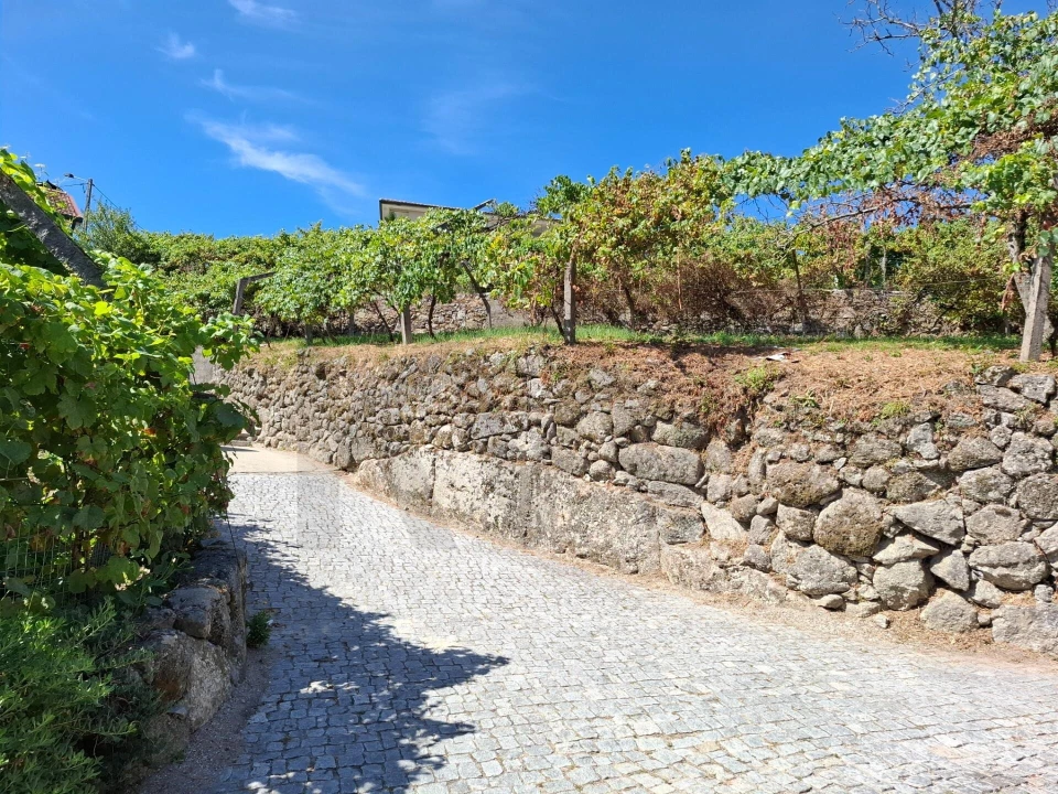 Terreno para Venda em Baião (Santa Leocádia) e Mesquinhata Foto 15