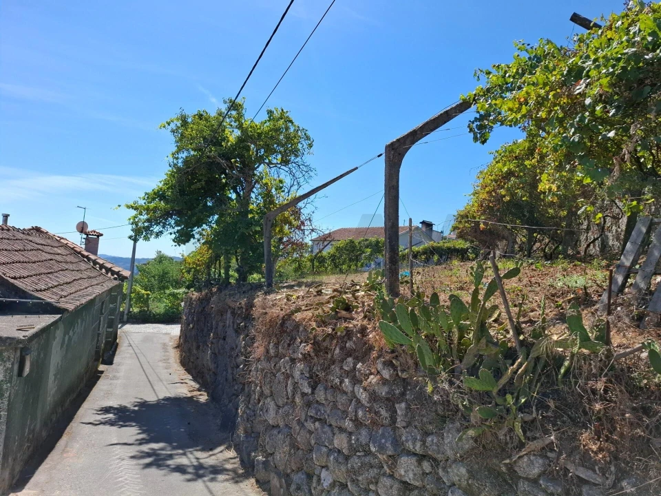 Terreno para Venda em Baião (Santa Leocádia) e Mesquinhata Foto 19