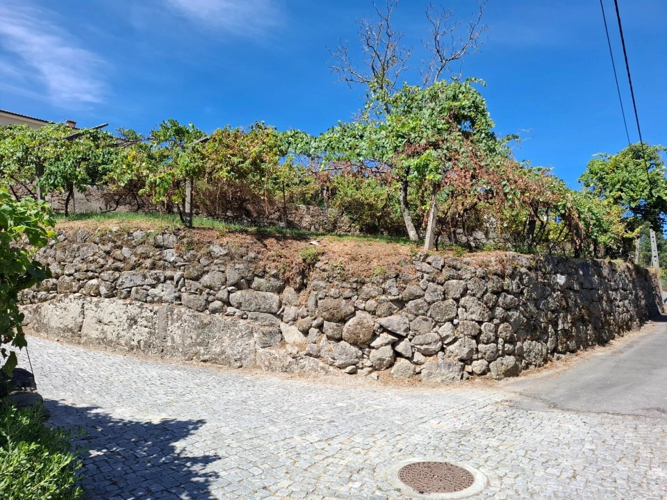 Terreno para Venda em Baião (Santa Leocádia) e Mesquinhata Foto 4