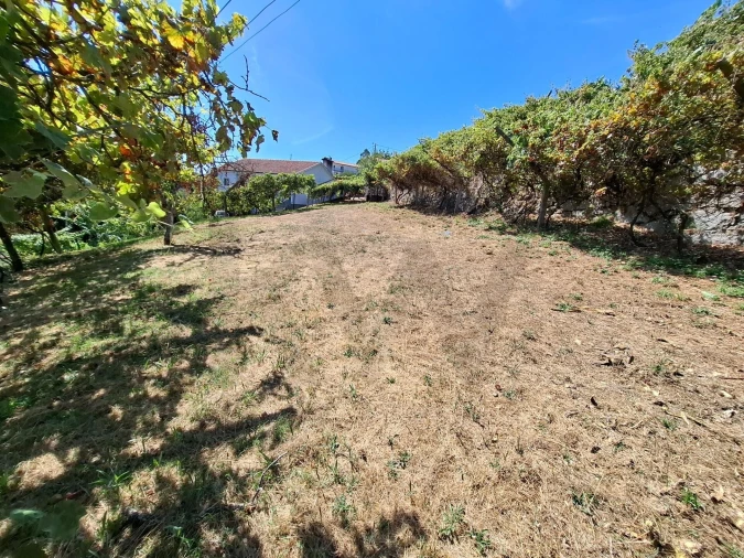 Terreno para Venda em Baião (Santa Leocádia) e Mesquinhata Foto 5