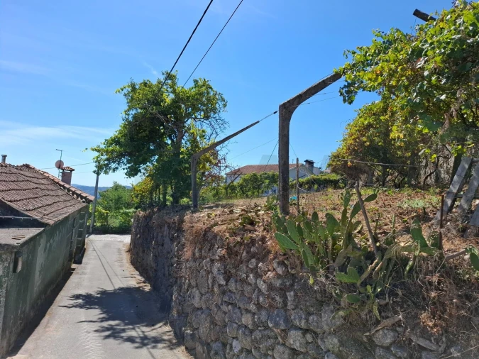 Terreno para Venda em Baião (Santa Leocádia) e Mesquinhata Foto 19