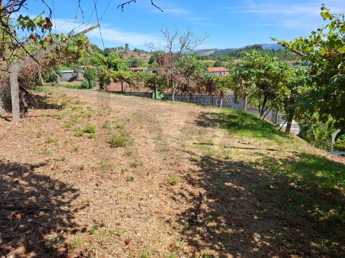 Terreno para Venda em Baião (Santa Leocádia) e Mesquinhata Foto 10