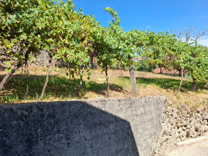 Terreno para Venda em Baião (Santa Leocádia) e Mesquinhata Foto 14