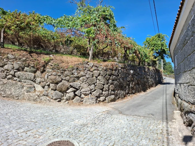 Terreno para Venda em Baião (Santa Leocádia) e Mesquinhata Foto 16