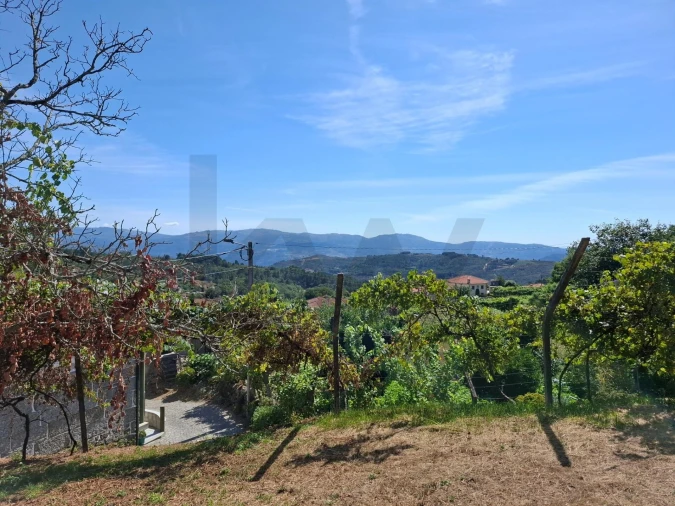 Terreno para Venda em Baião (Santa Leocádia) e Mesquinhata Foto 7