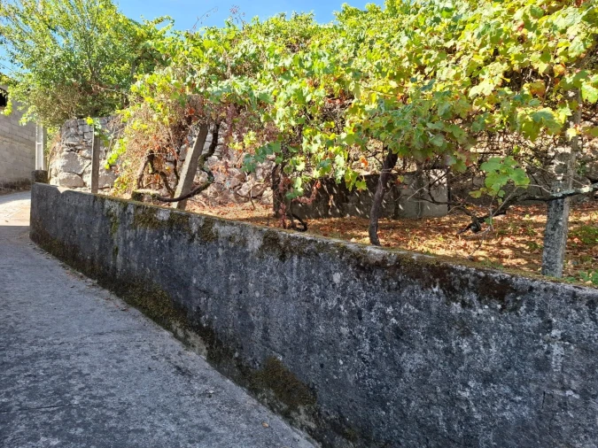 Terreno para Venda em Baião (Santa Leocádia) e Mesquinhata Foto 13