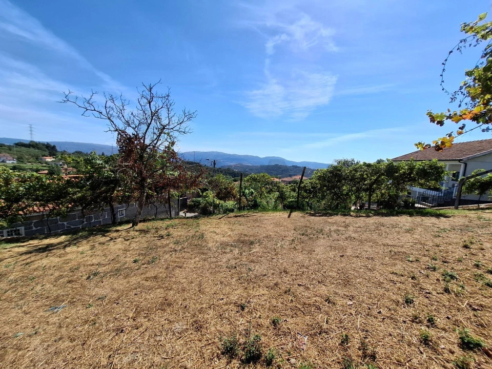 Terreno para Venda em Baião (Santa Leocádia) e Mesquinhata Foto 6