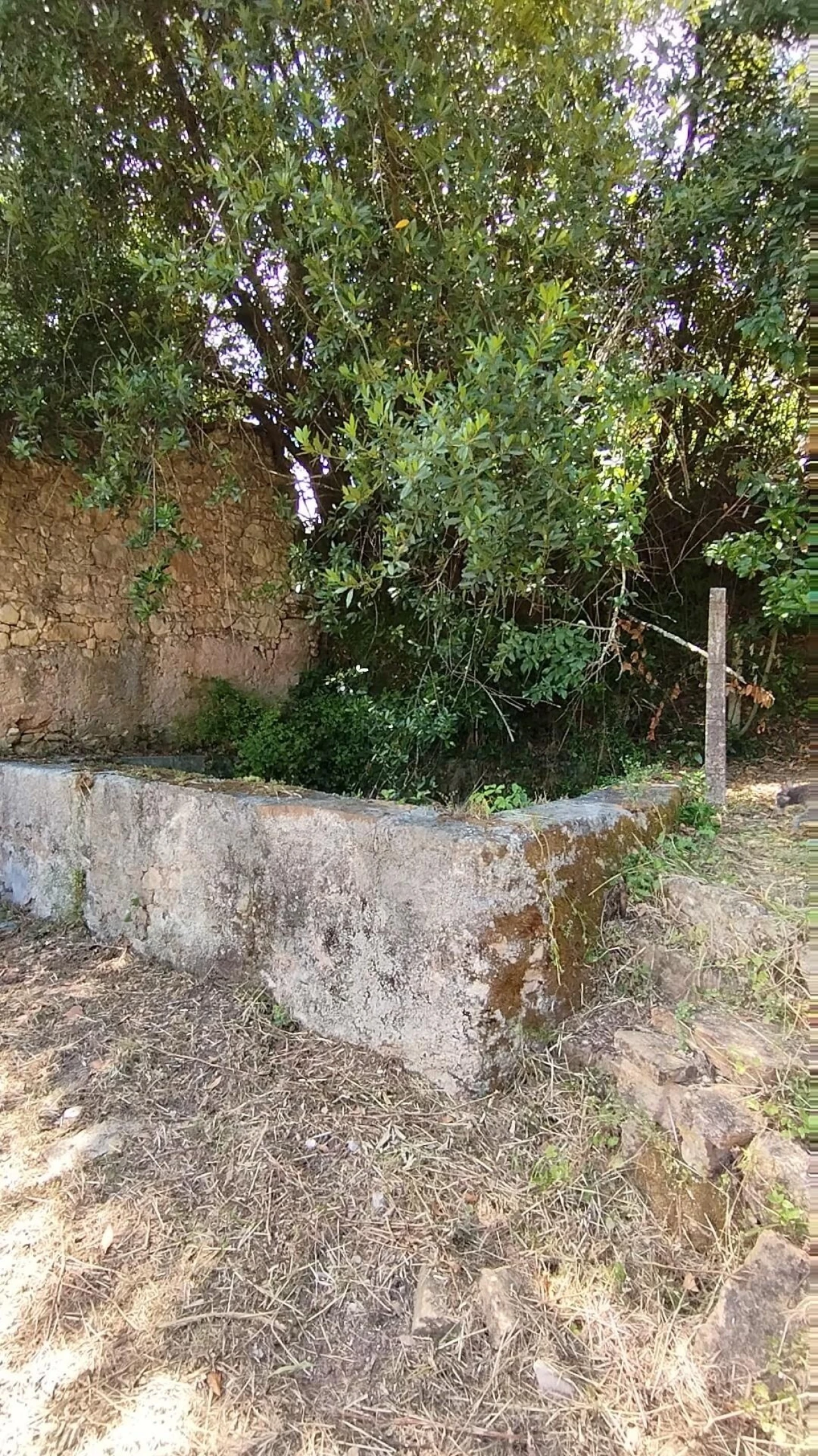 Terreno para Venda em Eiras e São Paulo de Frades Foto 8