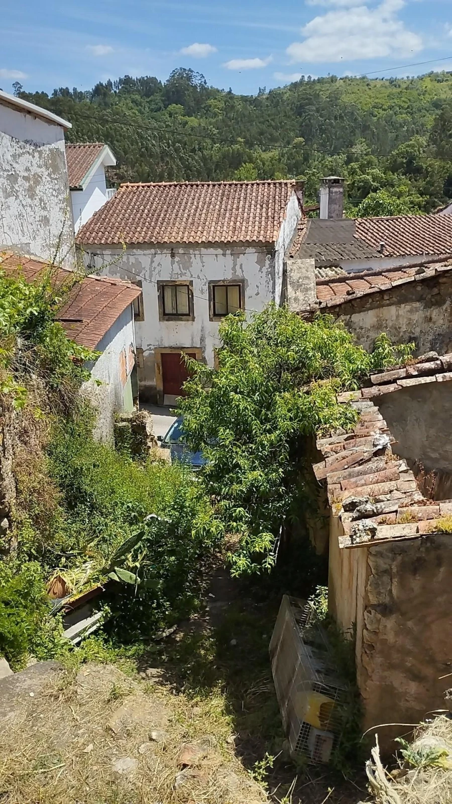 Terreno para Venda em Eiras e São Paulo de Frades Foto 9