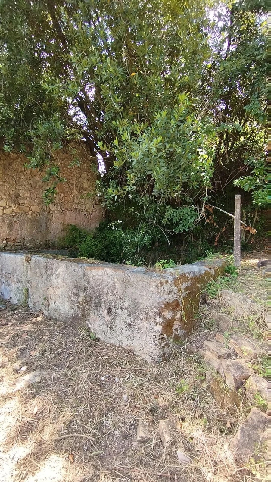 Terreno para Venda em Eiras e São Paulo de Frades Foto 8