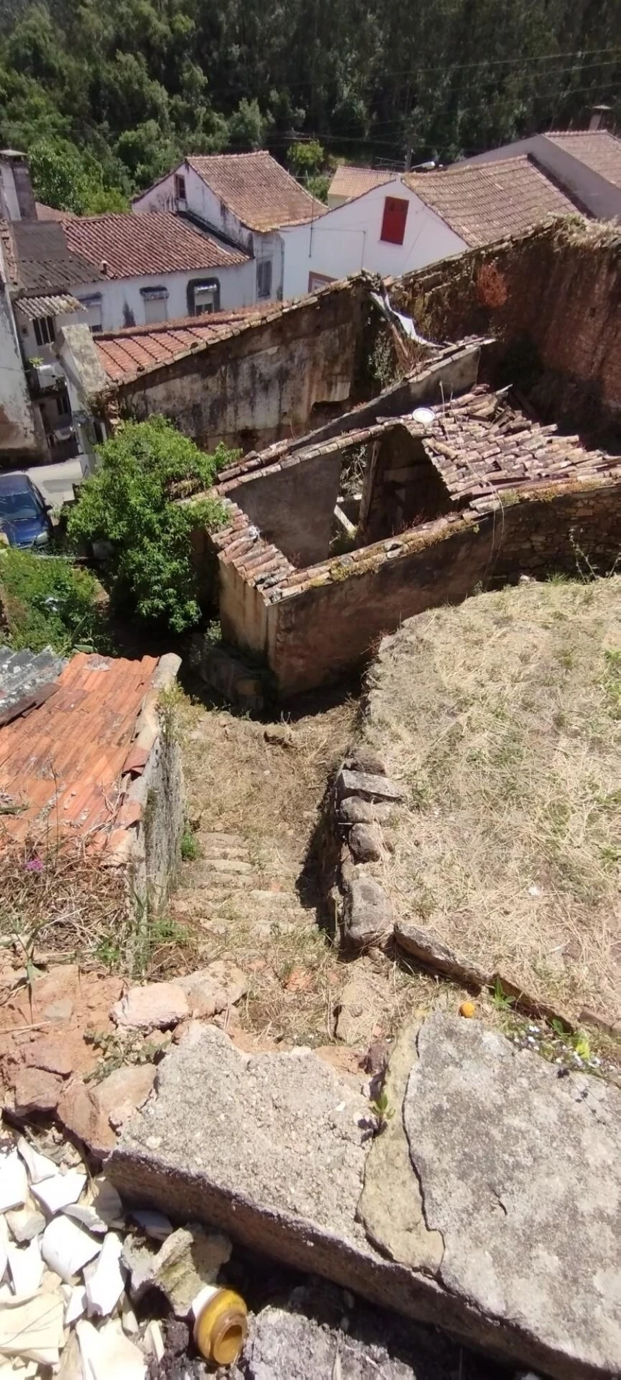 Terreno para Venda em Eiras e São Paulo de Frades Foto 11