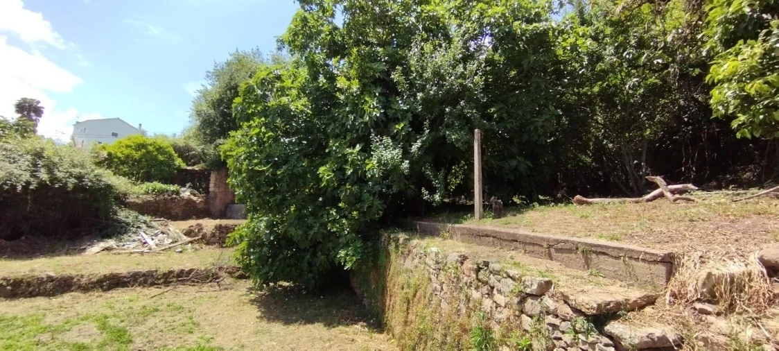 Terreno para Venda em Eiras e São Paulo de Frades Foto 13