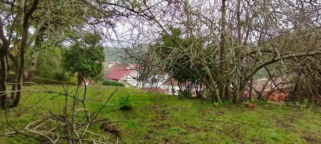 Terreno para Venda em Eiras e São Paulo de Frades Foto 6
