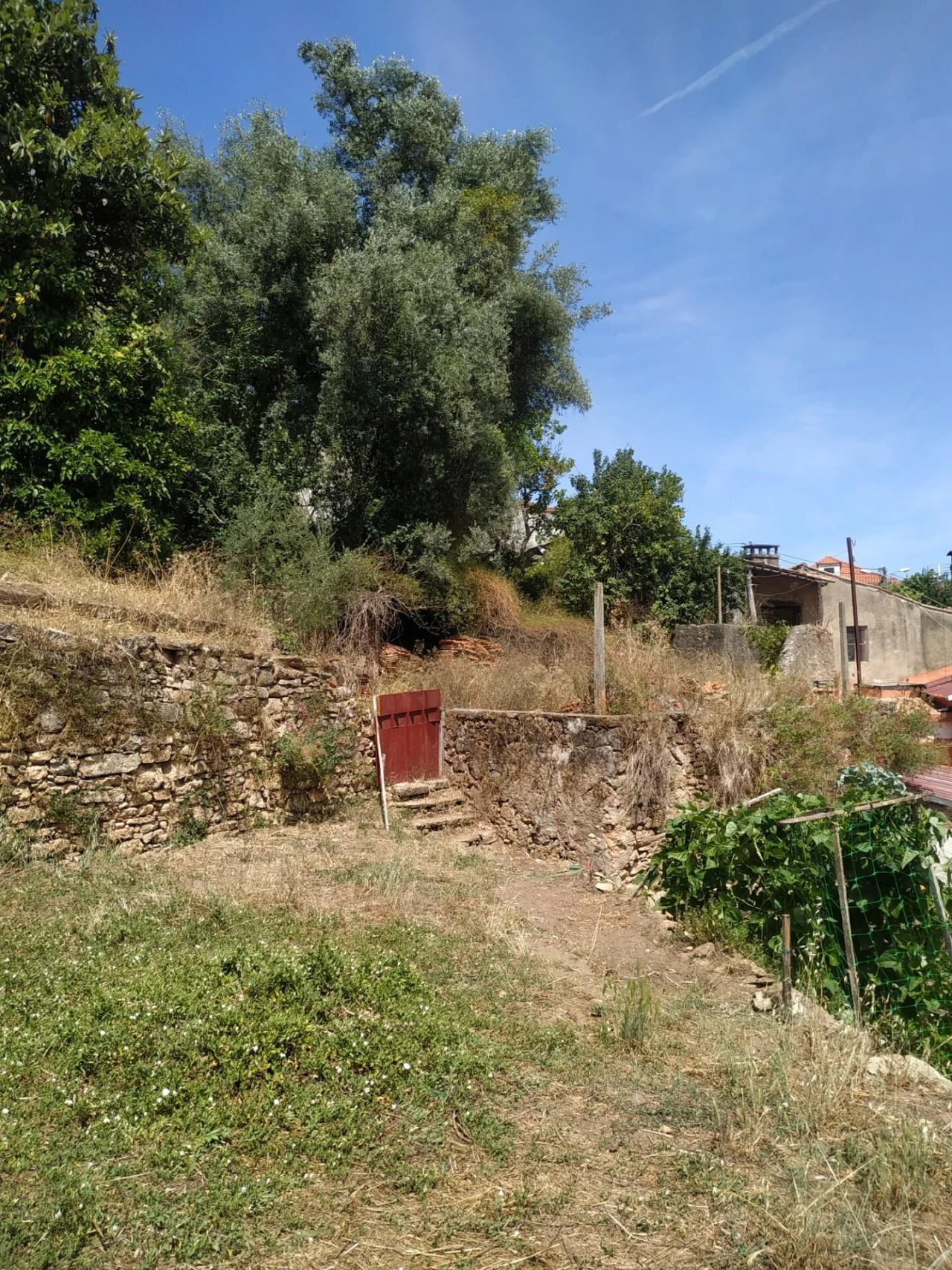 Terreno para Venda em Eiras e São Paulo de Frades Foto 1