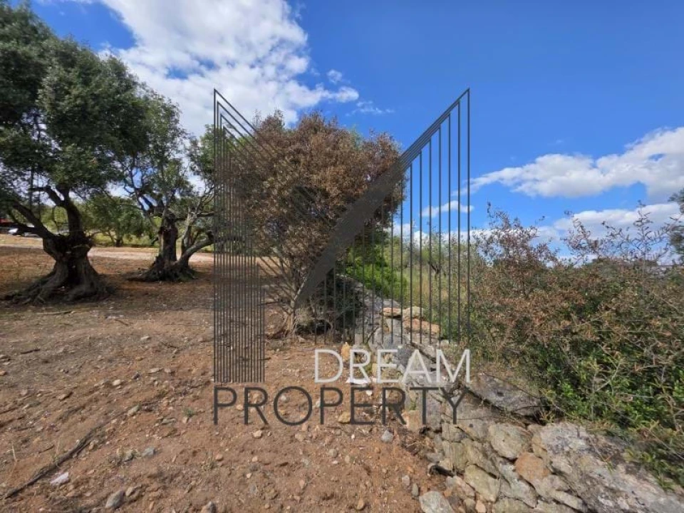 Terreno para Venda em Boliqueime Foto 21