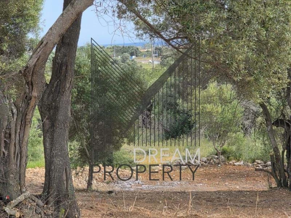 Terreno para Venda em Boliqueime Foto 18