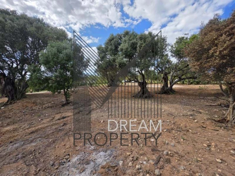 Terreno para Venda em Boliqueime Foto 22