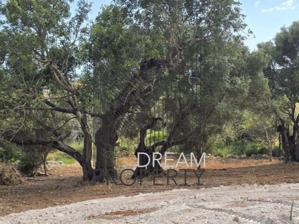 Terreno para Venda em Boliqueime Foto 27