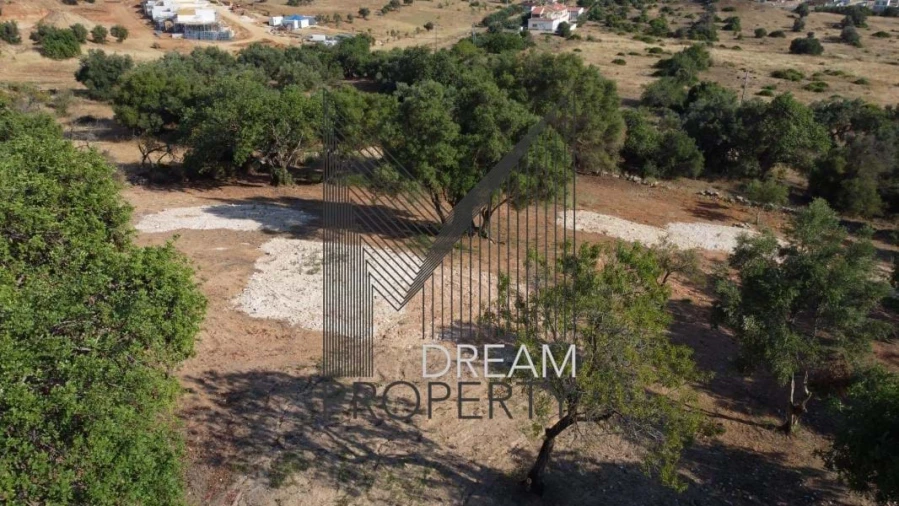 Terreno para Venda em Boliqueime Foto 11